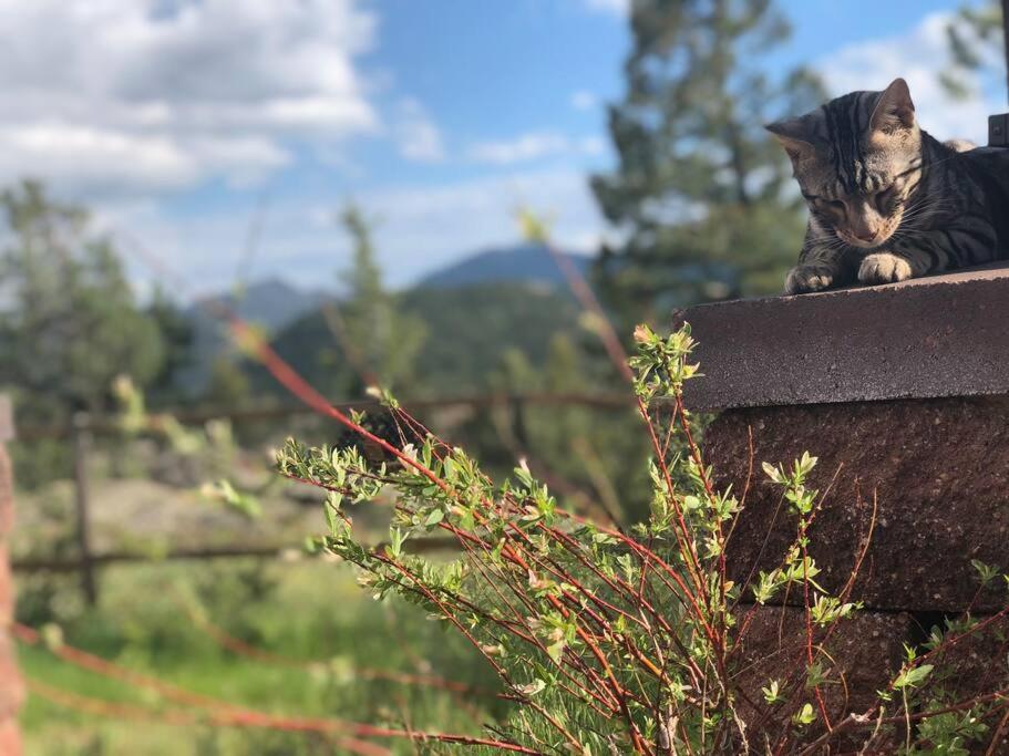 Boulder Best City And Nature With Lake And Trails Pets Ok Eksteriør bilde