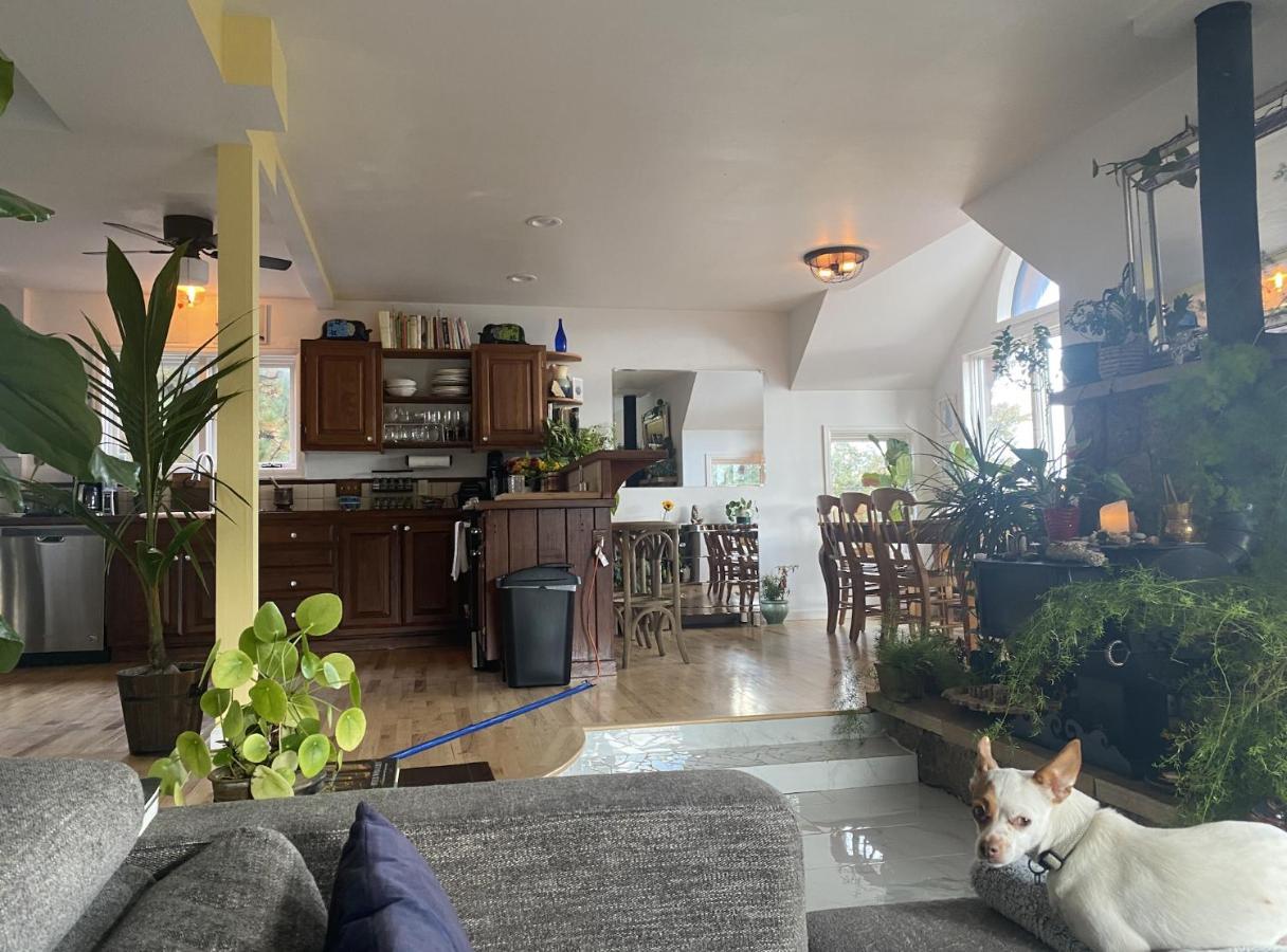 Boulder Best City And Nature With Lake And Trails Pets Ok Eksteriør bilde
